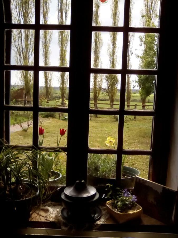Bed and Breakfast La Ferme Des Vignes Hotot-en-Auge Экстерьер фото