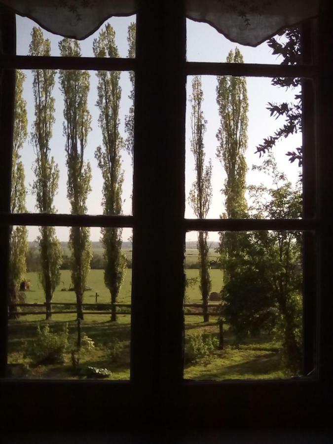 Bed and Breakfast La Ferme Des Vignes Hotot-en-Auge Экстерьер фото